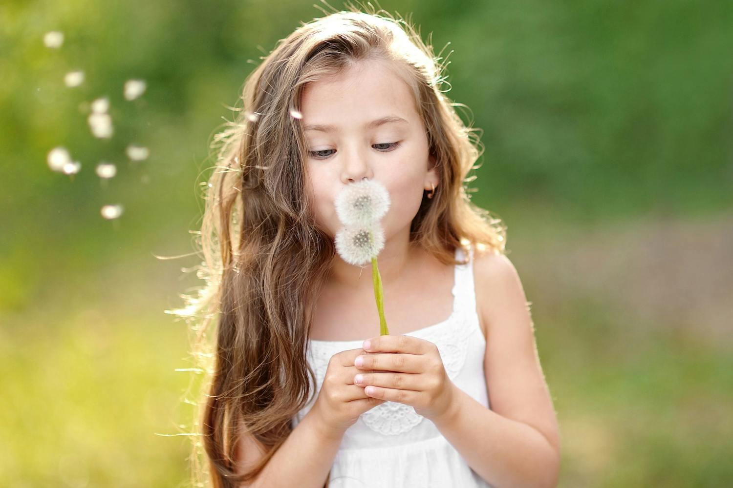 Barnfoto av liten flicka som blåser bort frön från maskrosboll
